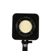 Lumens AP 1000x 200W Bi Color Continuous Light
