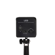 Lumens AP 1000x 200W Bi Color Continuous Light