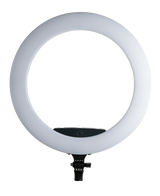 APRAMATT AP-RL20 LED ring light front view with white diffuser