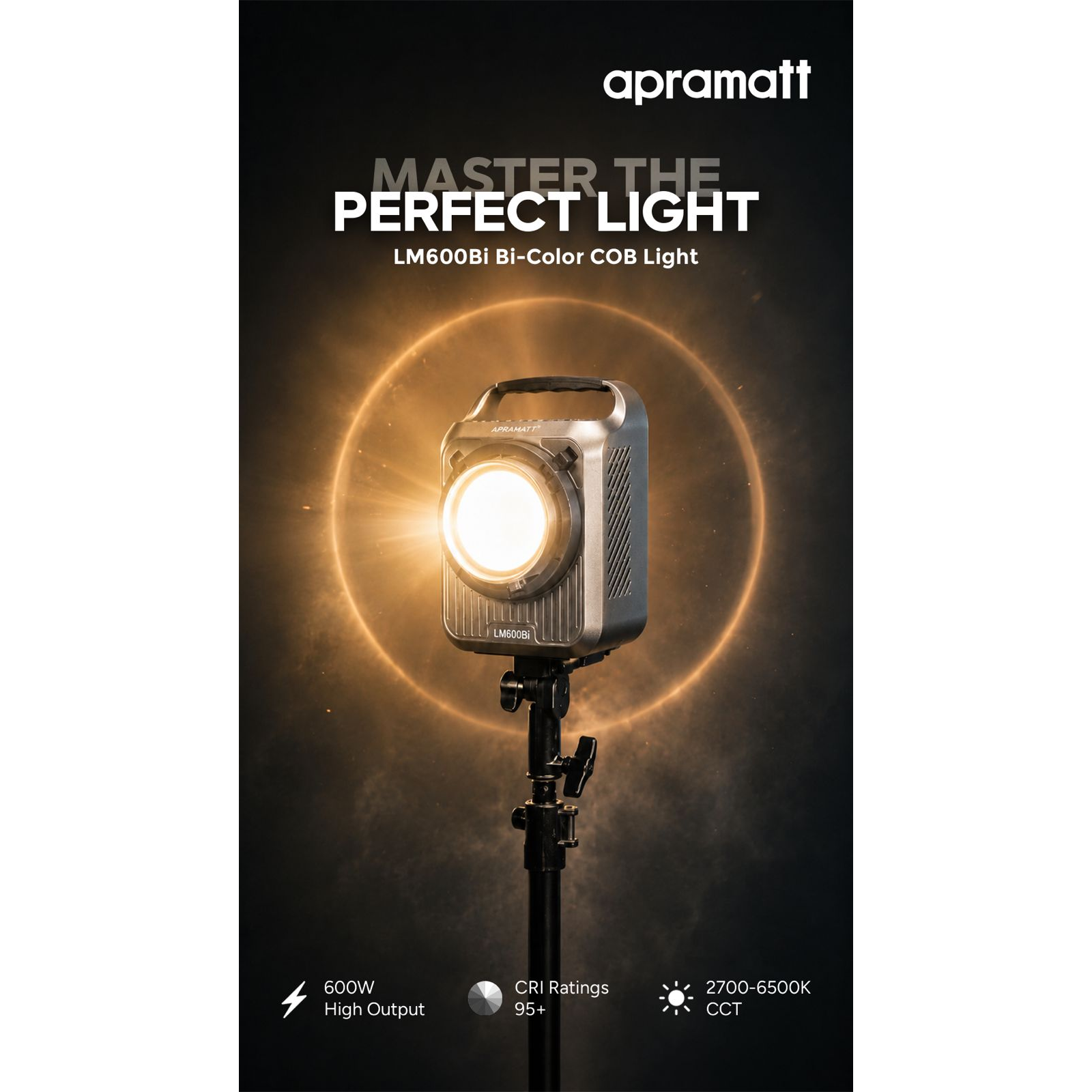 600W COB Light (Bi Color) with Bag